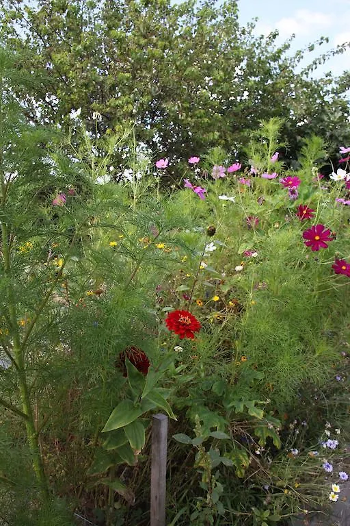 Les Roulottes Viticoles Bed & Breakfast Saint-Etienne-des-Oullieres