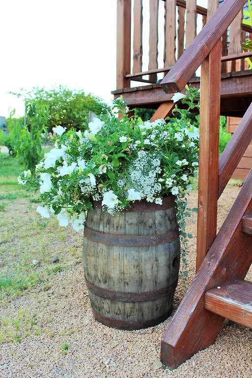 Les Roulottes Viticoles Bed & Breakfast Saint-Etienne-des-Oullieres