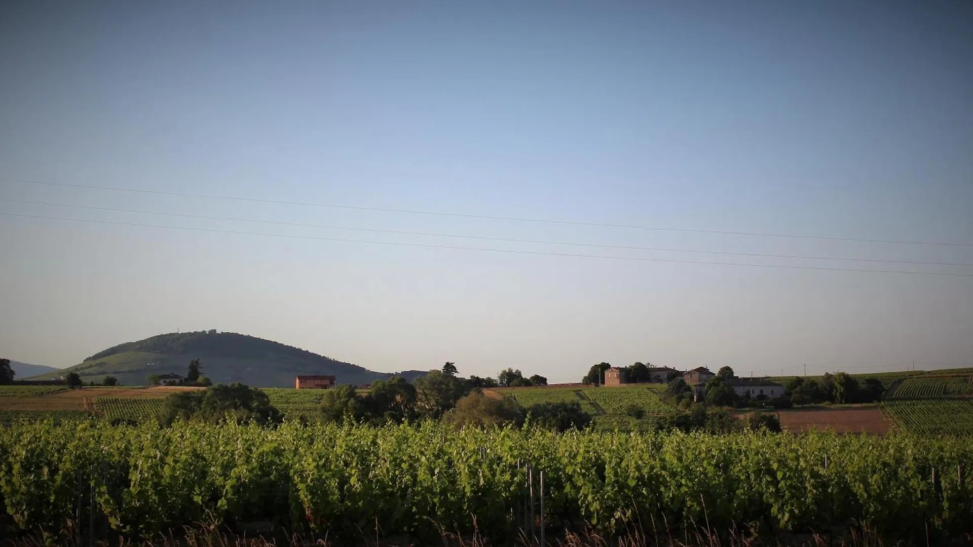 Les Roulottes Viticoles Bed & Breakfast Saint-Etienne-des-Oullieres