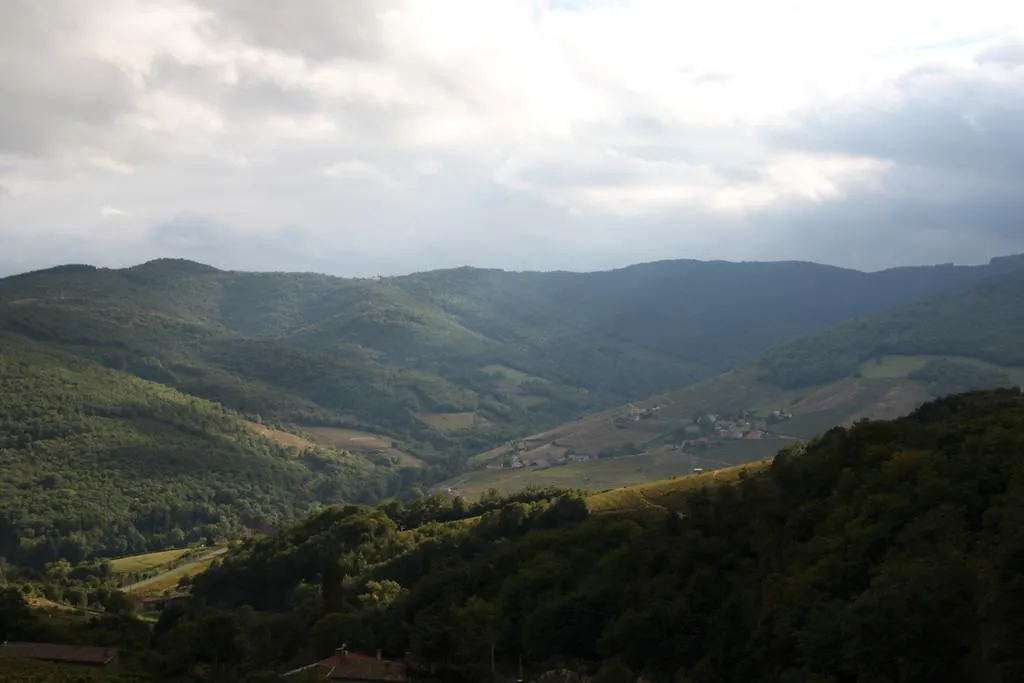 Les Roulottes Viticoles Bed & Breakfast Saint-Etienne-des-Oullieres